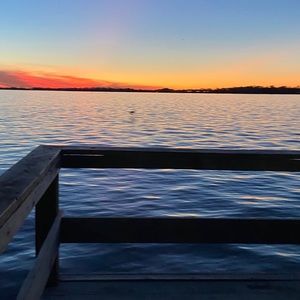 Meet your Posher, Carlie